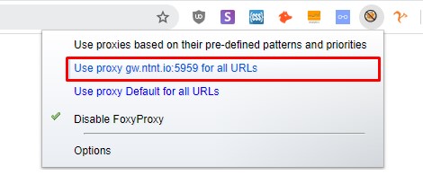 How to Configure Proxy Settings on FoxyProxy