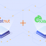 Configure proxy setting on Kameleo - netnut residential proxy network