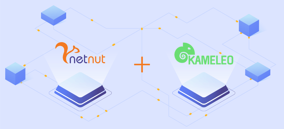 Configure proxy setting on Kameleo - netnut residential proxy network